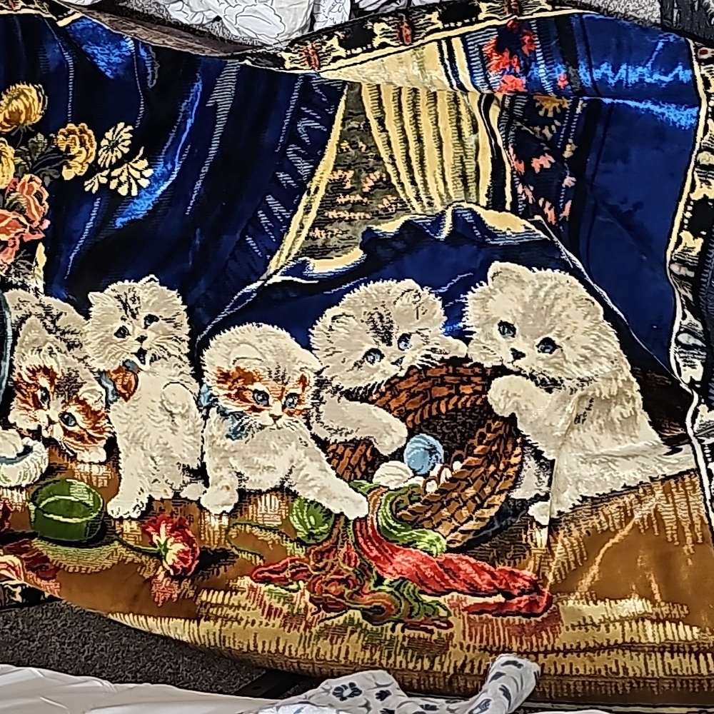 Persian Cat rug or wall hanging